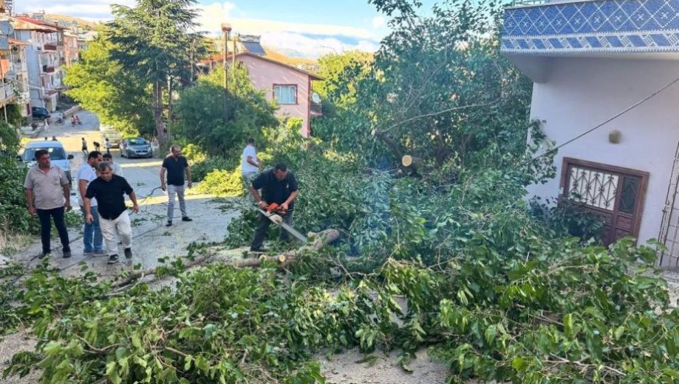 Fırtına Arapgir'de de Ağaçları Devirdi