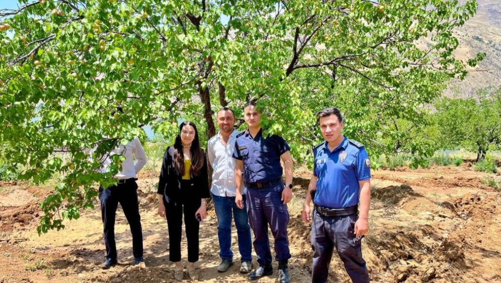 'Numunelik'' Kayısılı Bahçeler..