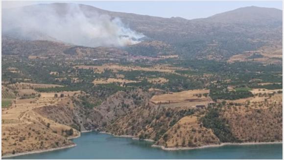 Doğanyol'daki Orman Yangınına Havadan da Müdahale Edildi