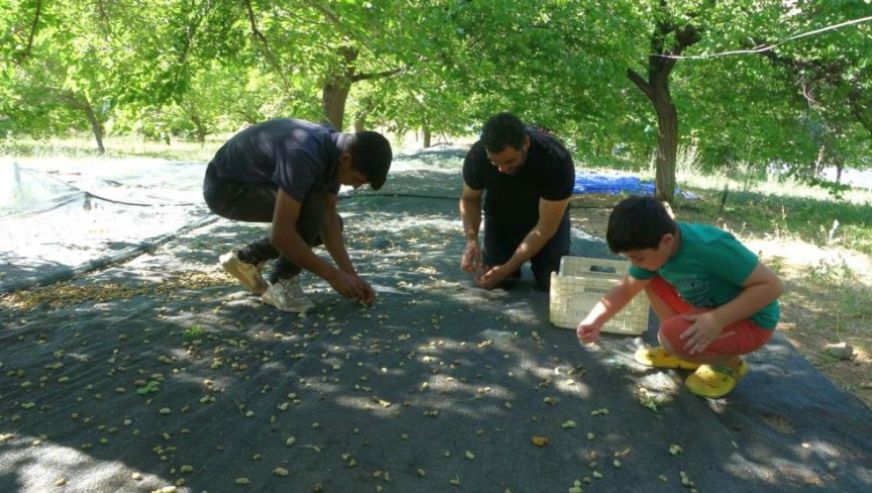 Umutlar Baraj Kenarında Yeşerdi..