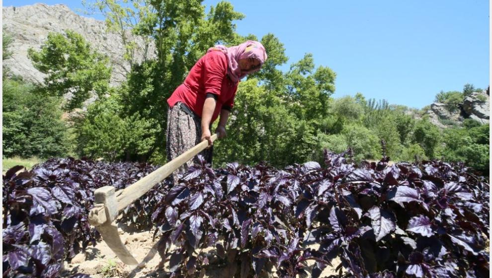 'Allah'ın Bir Mucizesiyle Tanıştık'