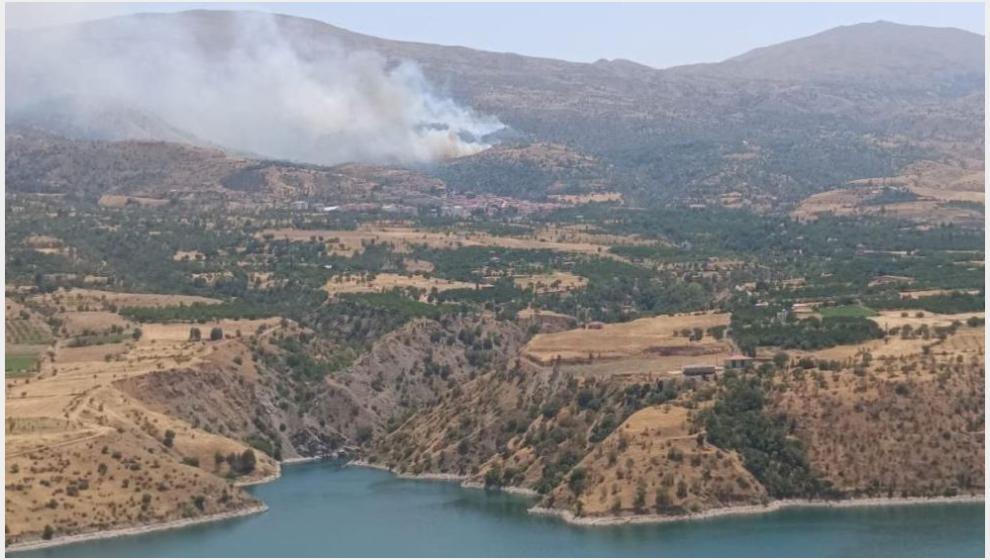 Doğanyol'daki Orman Yangınına Havadan da Müdahale Edildi