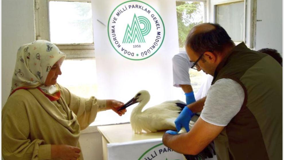 İlk Uçuşunda Yere Düşen Yavru Leylek Tedavi Altında