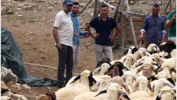 "Bizden 350- 400 TL'ye Alınıyor, Markette 900 TL.."