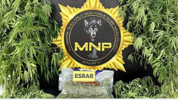 Narkotik Polis Esrar ve Hint Keneviri Ele Geçirdi