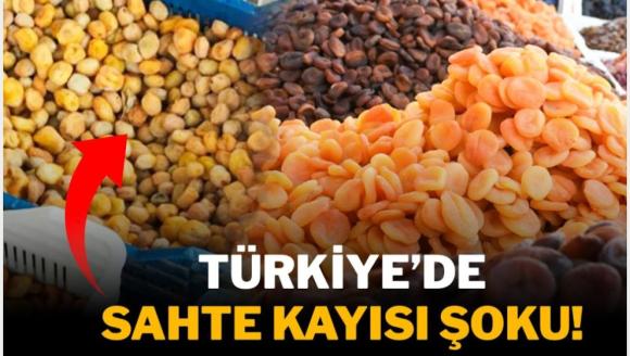 'Sahte Malatya Kayıyısı Hem İç, Hem Dış Piyasayı Tehdit Ediyor'