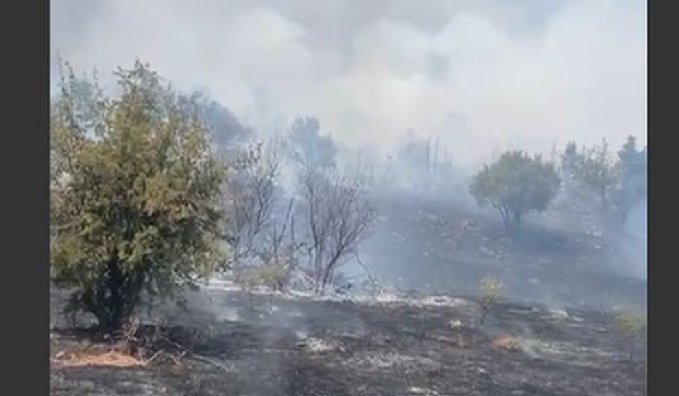 Doğanyol'daki Orman Yangını 100 Hektarlık Alanda Etkili Oldu