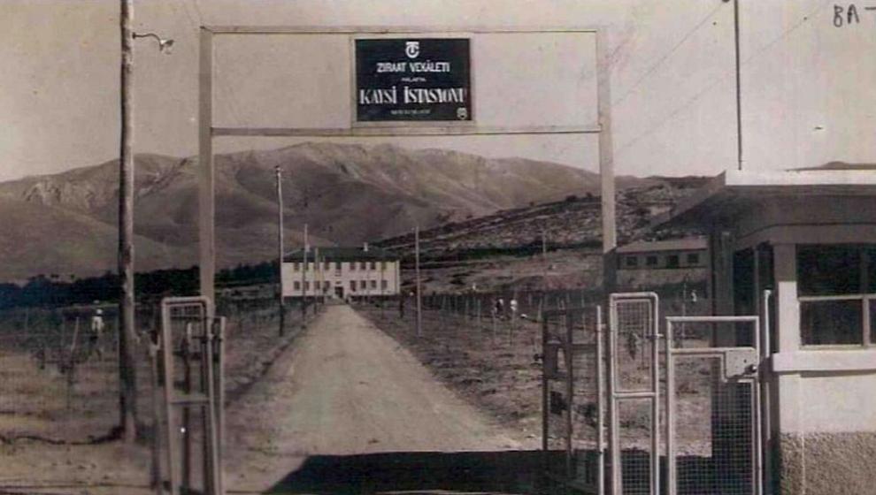 'Malatya Kayısı Araştırma Bünyesinde Kayısı Müzesi Kurulmalı'