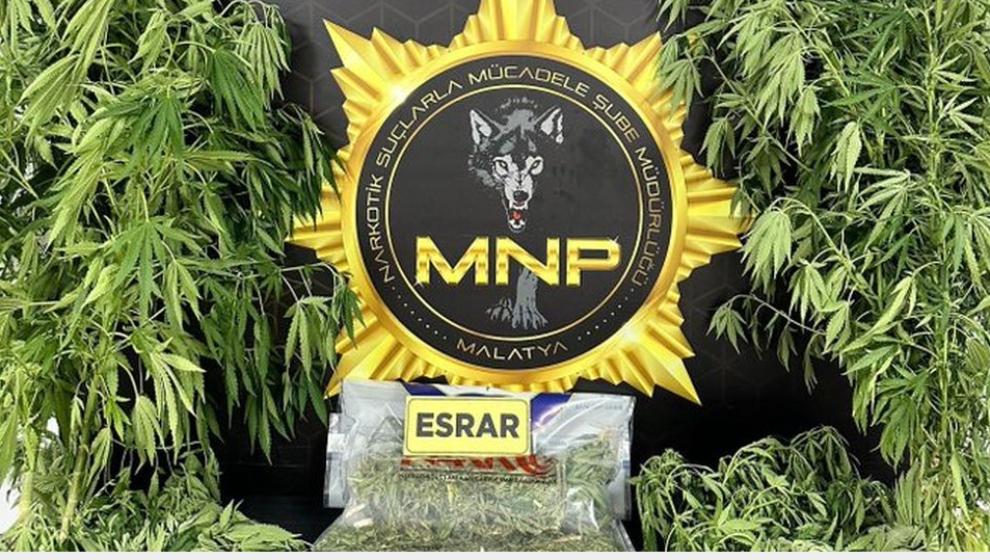 Narkotik Polis Esrar ve Hint Keneviri Ele Geçirdi