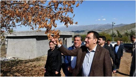 Çiftçiye Don Zararı Karşılığı 3,8 Milyar TL Ödeme