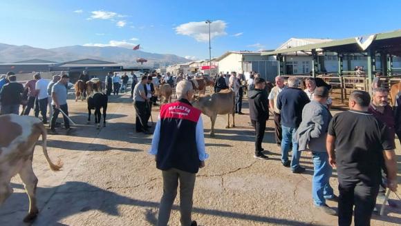 Kapatılan Hayvan Pazarı Yeniden Hizmete Açıldı