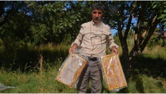 Kara Kovan Balın Kilosu 1200, Süzme Bal 750 Lira