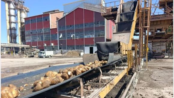 Malatya Şeker Fabrikası'nda Hedef 62 Bin Ton Şeker Üretimi