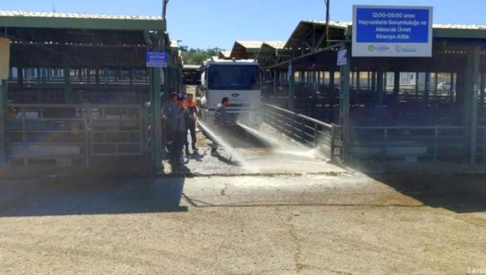 Canlı Hayvan Pazarları Açılıyor, Malatya Hariç!