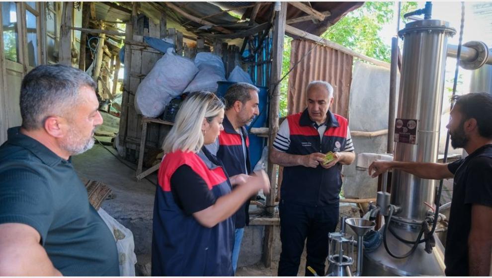 'Haydar Abimiz ve Bese Ablamız Sabırla Karadut Yetiştiriyor'
