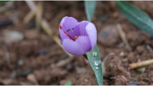 "4'üncü Yılda Rekor Verime Ulaşmak Takdire Şayan"