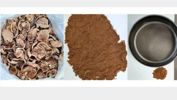 Ceviz Kabuklarıyla Asfalt Dayanıklılığı Artırıldı