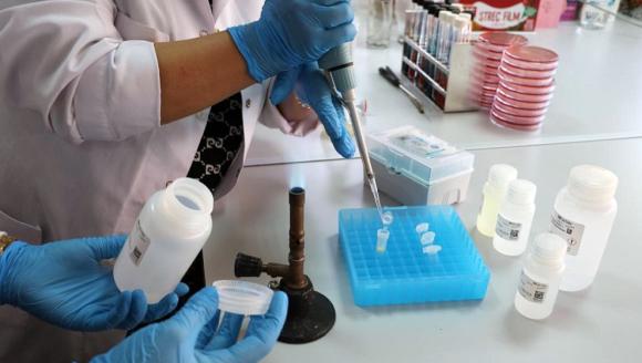 “Çiğ Süt, Hastalık Yapıcı Bakteriler İçin Taşıyıcı Olabilmekte”