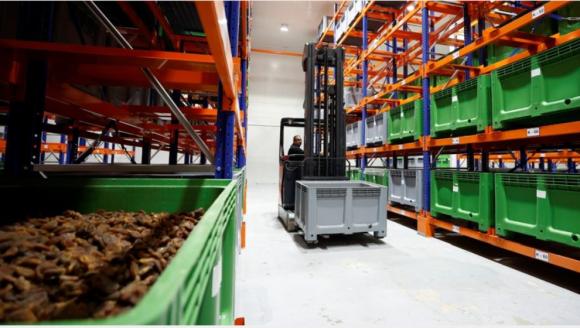 "İhracatta En Önemli Güç Lisanslı Depolar.."