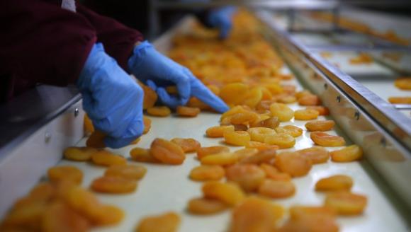 'Kayısıda Hedef 300 Milyon Dolar Gelir'