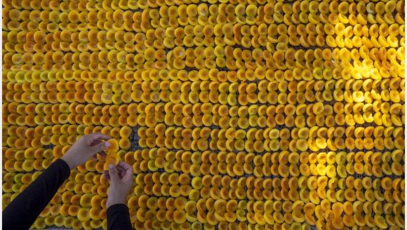 Malatya'da Kültür Neden Oluşamıyor?
