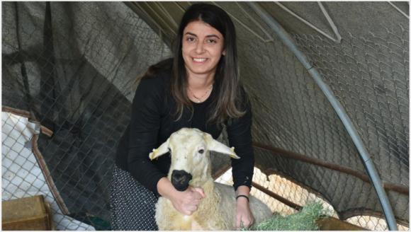 Mühendis Hanım Devlet Desteğiyle Sürü Sahibi Oldu