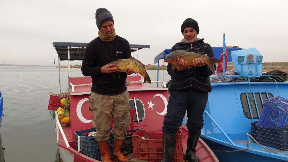 Malatya'da Avlanan Balıklar İhraç Ediliyor