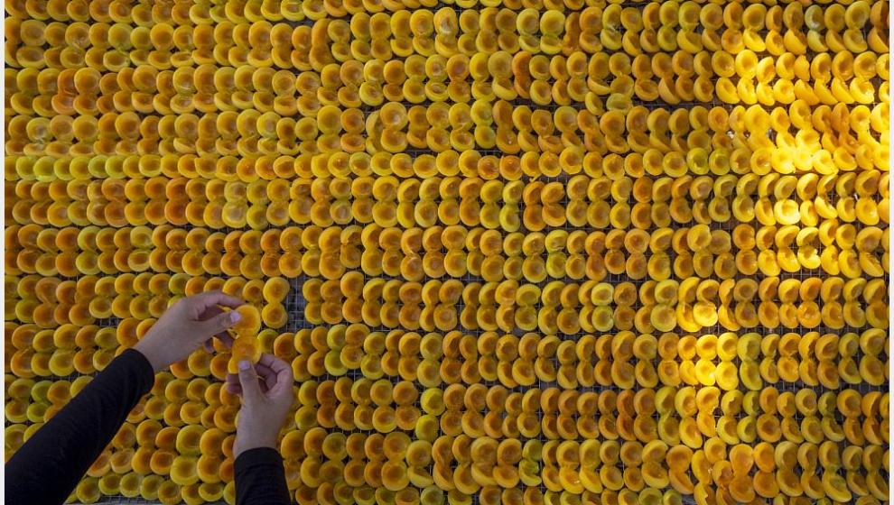 Malatya'da Kültür Neden Oluşamıyor?