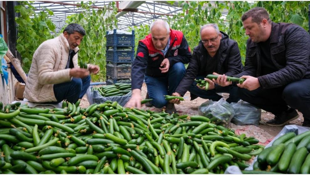 Örtü Altı Sebze Yetiştiriciliği Yapılan Seraya Ziyaret