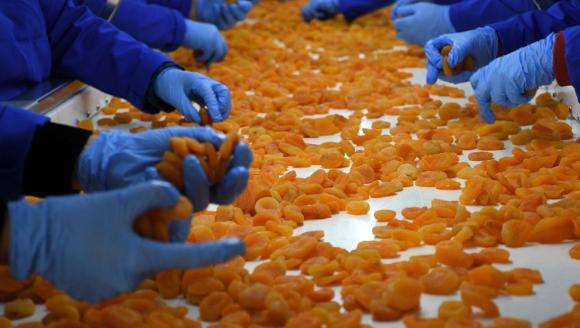 '11 Ayda 275 Milyon Dolar Gelir Elde Edildi'