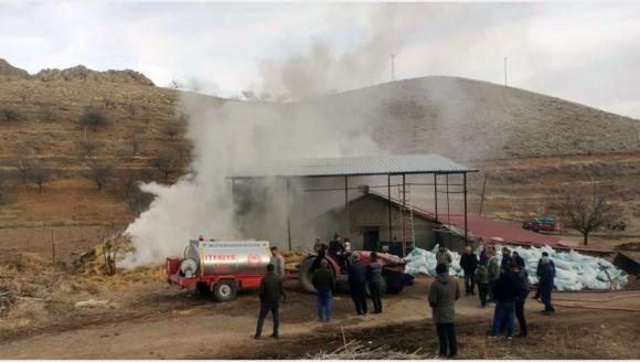 Besi Çiftliğindeki Yangın Hasara Yolaçtı