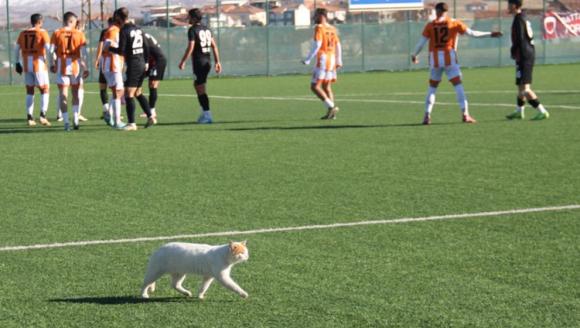 Bölgesel Amatör Lig Maçlarında Malatyaspor Mağlup, Battalgazi Belediye Berabere