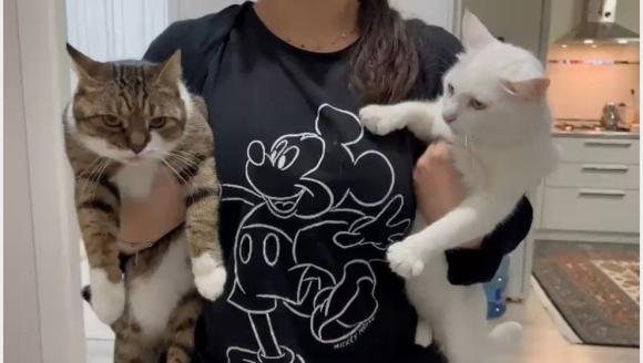 'Evcil Hayvanlarınızın Aşılarını İhmal Etmeyin'