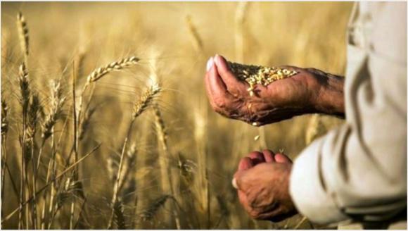 “Tarım Bittiğinde Tartışacak Hiçbir Şey Kalmaz”
