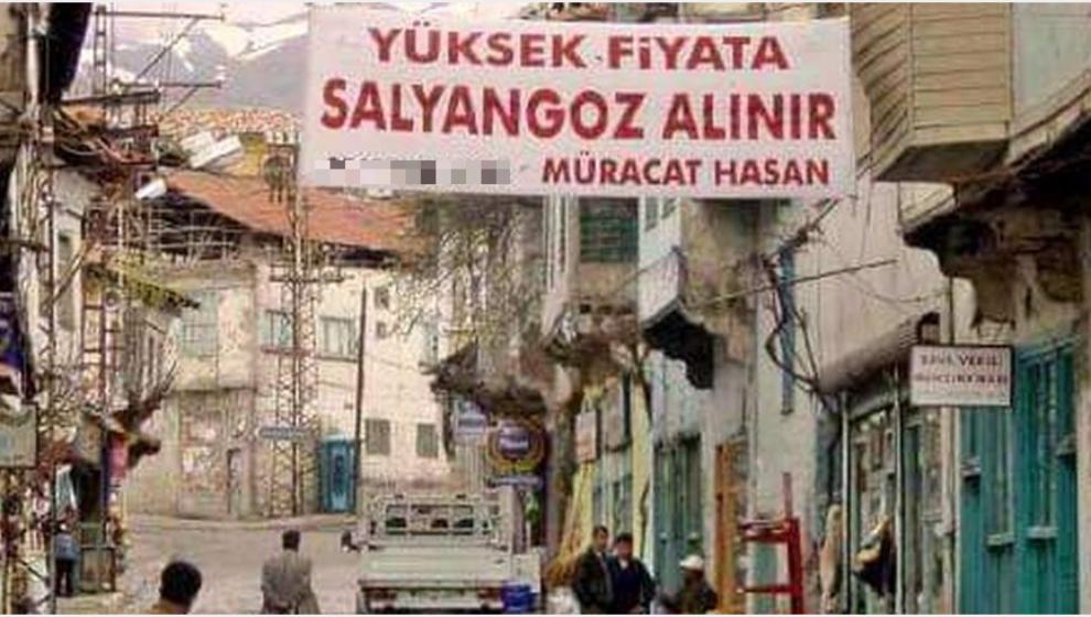 Bir Zamanların Malatya'sından.. Hozelek ve Menekşe Toplayan Çocuklar