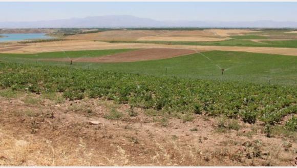 1. Sınıf Tarım Arazisine GES Kararı İptal