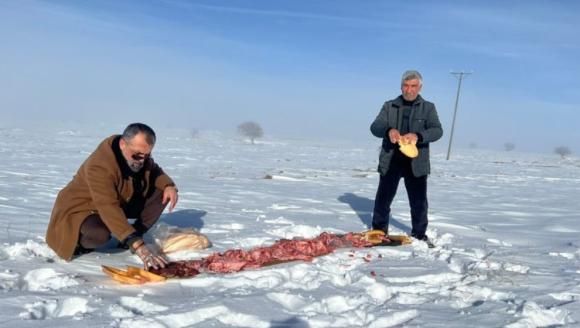 "Doğadaki Hayvanlar İçin Yiyecek Bırakıyoruz"