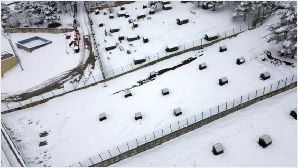 İkinci Hayvan Barınağını Battalgazi Belediyesi Açtı