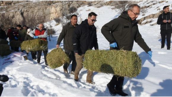 Vali Yaban Hayvanlarına Yem Taşıdı
