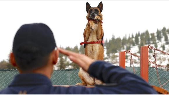 Malatya Jandarmasının 'Ceset Bulucusu' Sima..