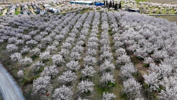 'Üreticiler Yeni Sezon İçin Umutlu'