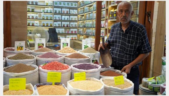 3 İlde Meyve ve Sebze Tohumları Üretiyor