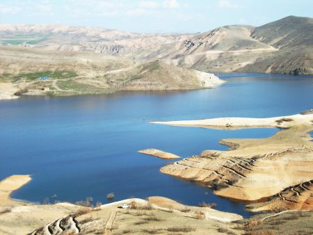 İki Baraja 100'er Bin Sazan