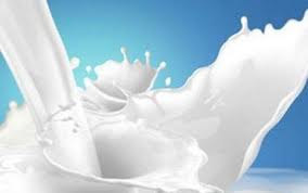 Süt Üretim Desteği Askıda