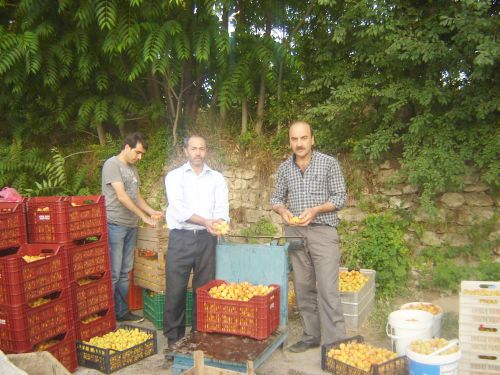 "İşçi Parasını Karşılamıyor"