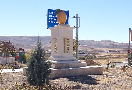 Elazığ'da Kayısı Anıtı!