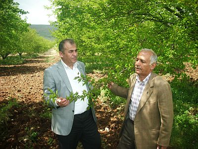 "Mağduriyet Giderilmeli"