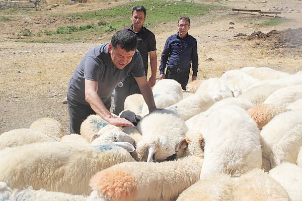 'AKP'liler Ayrım Yapıyor'