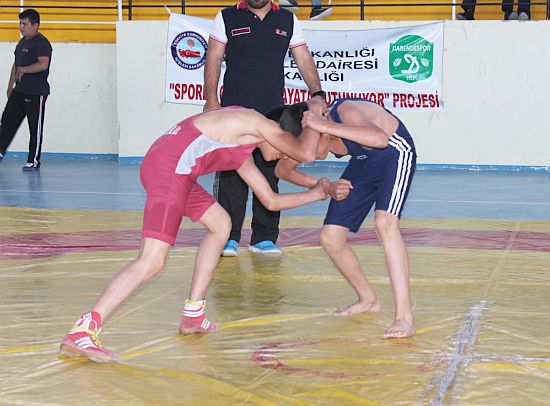 Darende'de Güreş Turnuvası
