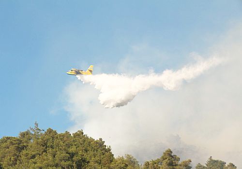 Malatya'da 15 Orman Yangını